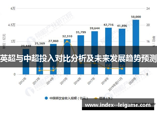 英超与中超投入对比分析及未来发展趋势预测